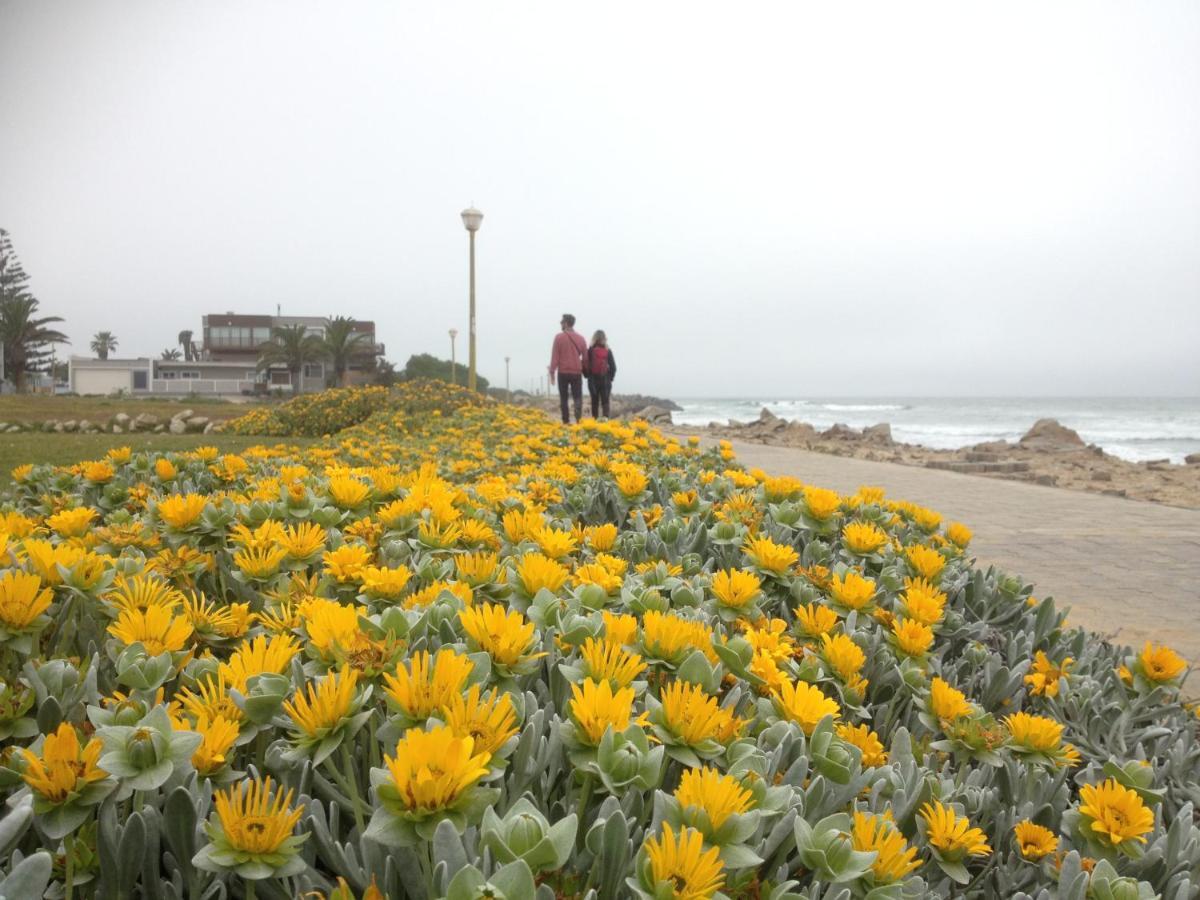 Ocean Melody Lägenhet Swakopmund Exteriör bild